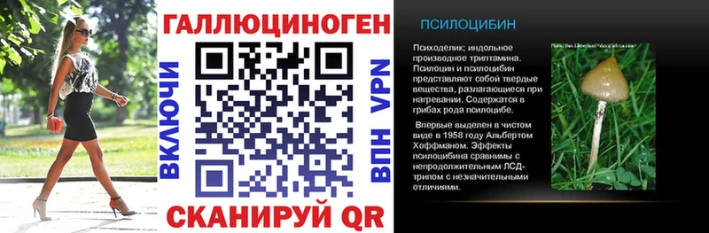 дарнет шоп  Сковородино  Псилоцибиновые грибы Cubensis 